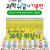 초등과학뒤집기, 과학뒤집기, 과학뒤집기기본, 과학뒤집기기본편.